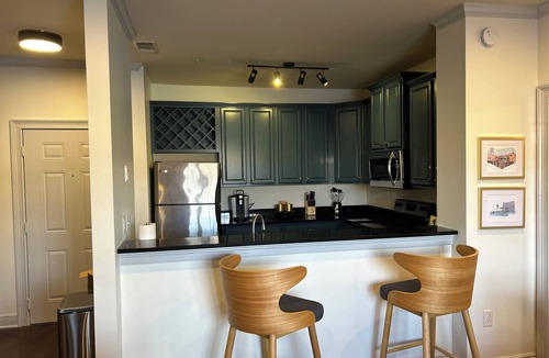 Tuscaloosa Condo | Houndstooth Heaven - half mile from Bryant Denny Stadium