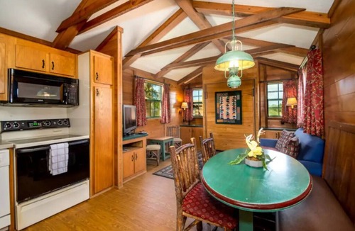 Seminole Cabin | Lakefront Cabin #402 –10mins to Beach/Pet Friendly/Prime Location/BOOK TODAY