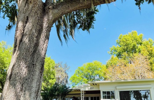 College Park House | Lakeside Home in a Great Neighborhood. Easy walk to Shops and Dining