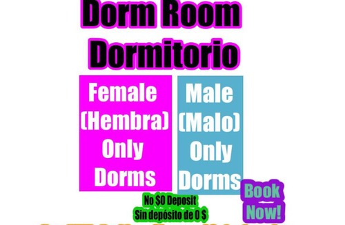 Allapattah Hostel | Miami Airport Hostel- Late Check in Ok- Female Dorms - Men Dorms - No Mix Under New Management