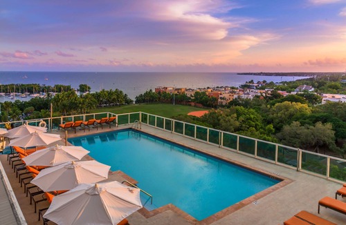 Coconut Grove Apartment | Modern Coconut Grove Stay | Hospital Proximity