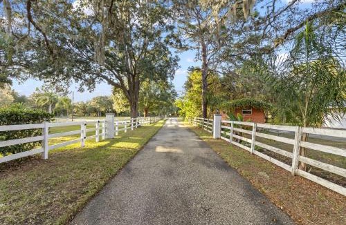 Port Richey House | Modern Spacious Getaway: Heated Pool, Movie Room, Huge Yard & Event-Friendly in New Port Richey, Florida