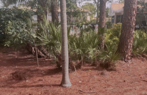 North Naples Condo | Naples Condo, 2 bed 2 bath 2mi to beach, hospitals, gated safe community