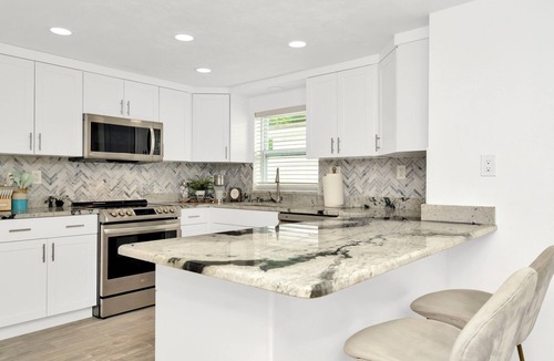 Tampa House | NEW Paradise Palms