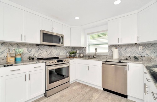 Tampa House | NEW Paradise Palms