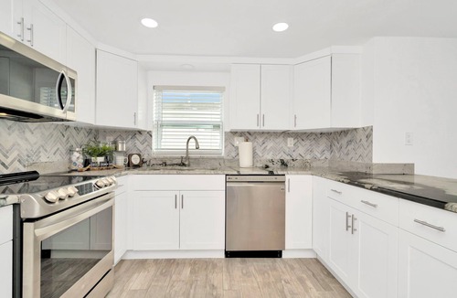 Tampa House | NEW Paradise Palms