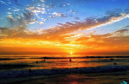 South Island Condo | Newly Remodeled At Bargain Price! Beachfront Leonardo Arms 407 Offers Sun and Fun!