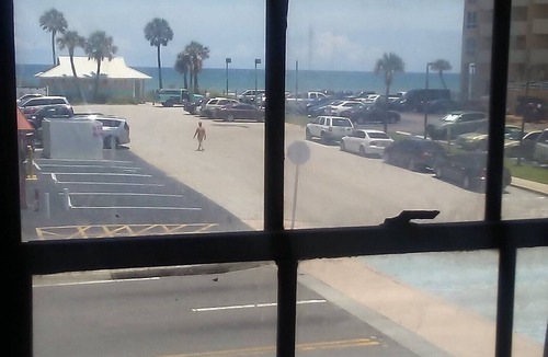 Seabreeze Historic District Apartment | Ocean View Beachside Old World Beauty