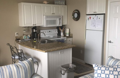 St. Petersburg Condo | Paradise Found Pet Friendly