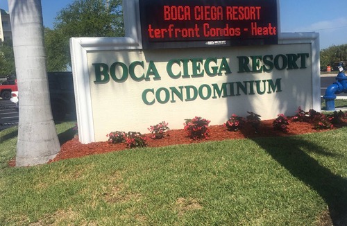 St. Petersburg Condo | Paradise Found Pet Friendly