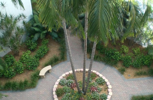 Rock Harbor Condo | Penthouse Apartment Sunsets in Key Largo, Kawama Yacht Club Tower