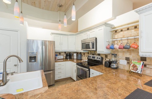 Limona Improvement House | Private Brandon Oasis Family home w/Full outdoor kitchen & Bar+ Game room
