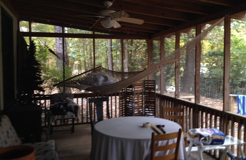 Dadeville Cabin | Sandy Beach Only 25 Minutes From Auburn