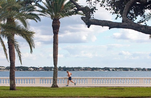 Ballast Point House | South Tampa! Stay Steps from Bayshore Near MacDill AFB