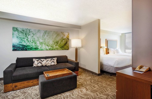 Ludlam Hotel | SpringHill Suites by Marriott Miami Airport South Blue Lagoon Area