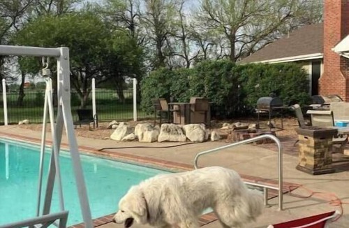 Saline County House | Take A Dip