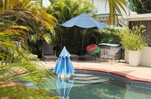 Greater Northdale House | Tampa Private Pool Oasis Retreat Near Everything