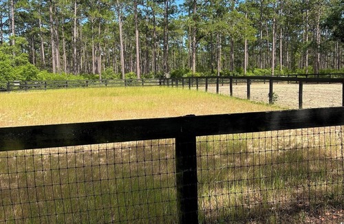Fort McCoy Cabin | The Hen House- a tranquil 1-bedroom cabin on the Ocala National Forest boundary