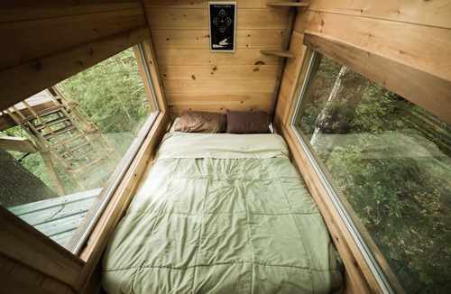 Stanton Hotel | The Observatory Treehouse: To Infinity and Beyond!