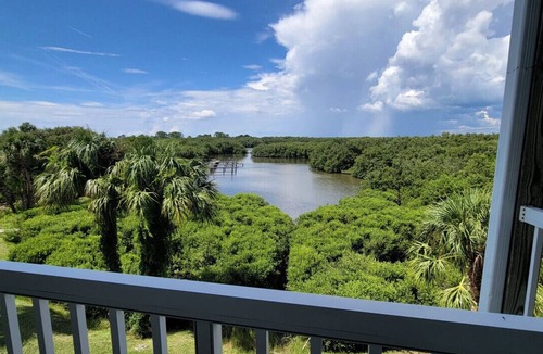 Cedar Key Condo | The Skimmer Condo: Downtown on the Bay - Nature Views - Bird watching