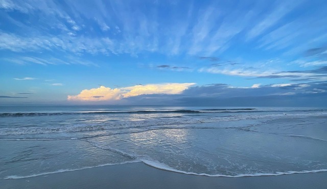 Beach Front with Incredible Views- 2/2 - NSB-on No Drive Beach in New Smyrna Beach