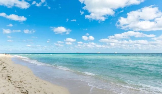 BeachFront On The Sand Unit #229, South of 5t, 335 Ocean Dr, Miami Beach