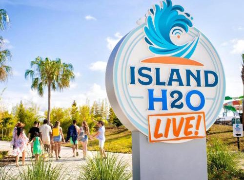 Cannon Thunder Cottage With Private Hot Tub Near Disney With Margaritaville Resort & Island H2O Access - 3066Pi