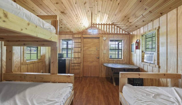Cardinal Rustic Cabin - The Cardinal Cabin rates are based on 4 guests, maximum of 6 guests. in Rockbridge