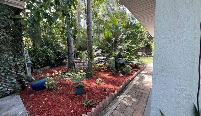 Charming 1-bedroom Guesthouse in Amazing Ozona Free Parking, Walk to Restaurants in Palm Harbor