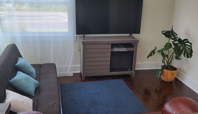 Cozy walkable downtown home