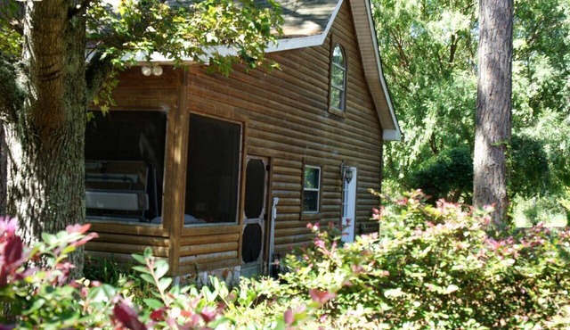 Delightful Vacation Cabin for Unique Getaway near Macon, Georgia in Tifton
