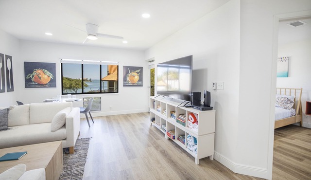 Five star 2BR/2BA Remodel On Bay, near Beach, Available Last Two Weeks in April in Tierra Verde