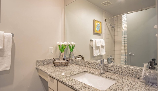 Furnished Apt near Fox Theatre in Atlanta