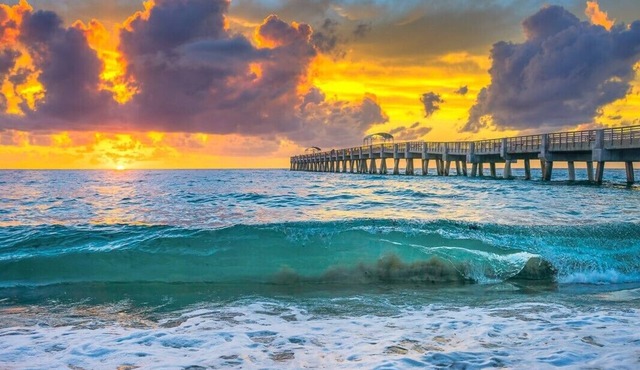 Glamping in Paradise in West Palm Beach