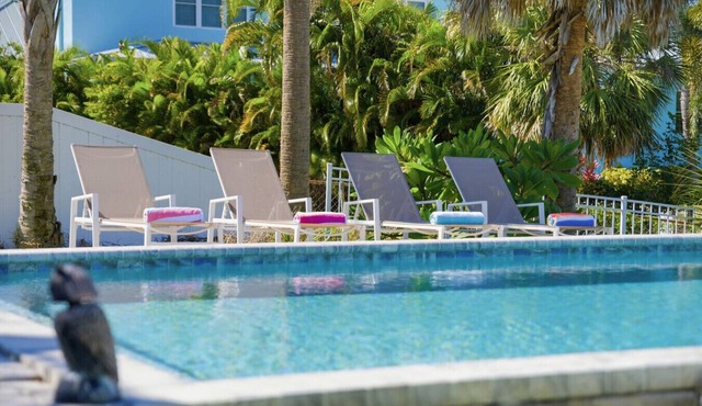 Heated Infinity Pool | Dolphin Views | Near Tampa