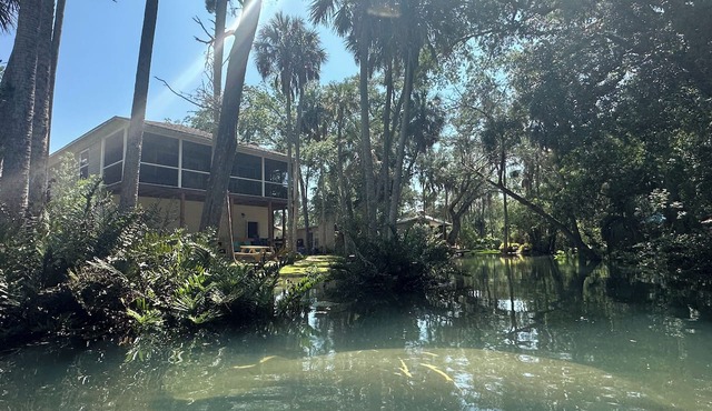 Hidden Spring-run Swimming elevated Views & Game Rm in Spring Hill