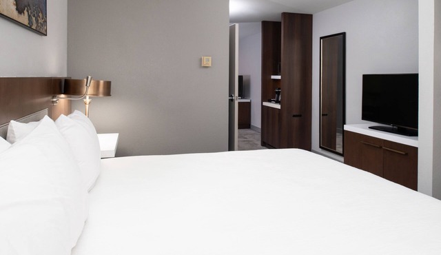 Hilton Garden Inn Baton Rouge Airport