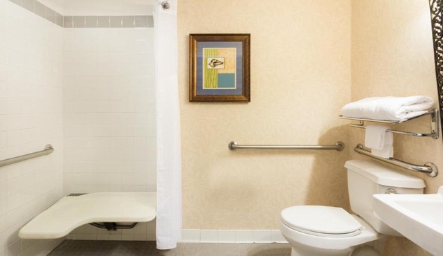 Holiday Inn & Suites Clearwater Beach S-Harbourside