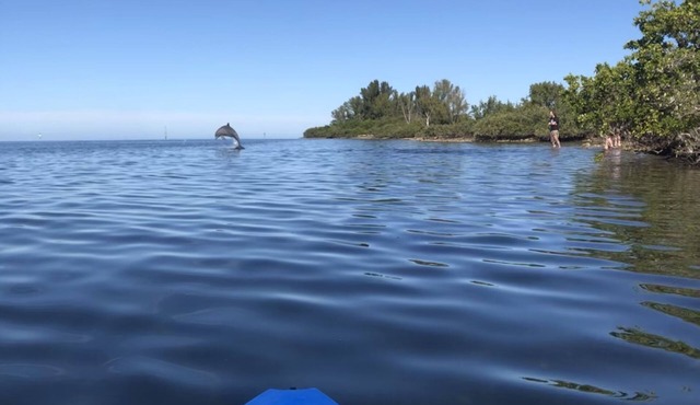 Kayak to the Gulf With Dolphins - Deep Water Canal Home