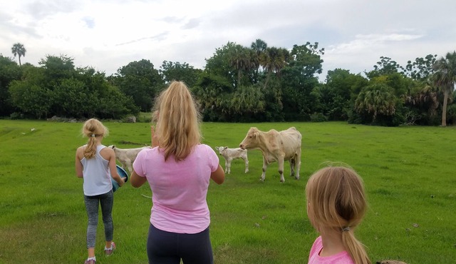 Log Cabin Surrounded by Nature in Okeechobee