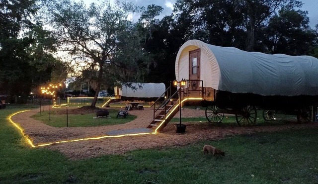 Luxury Highland Cow Glamping in Cozy Covered Wagon with Peaceful Farm Retreat in Melrose, Florida
