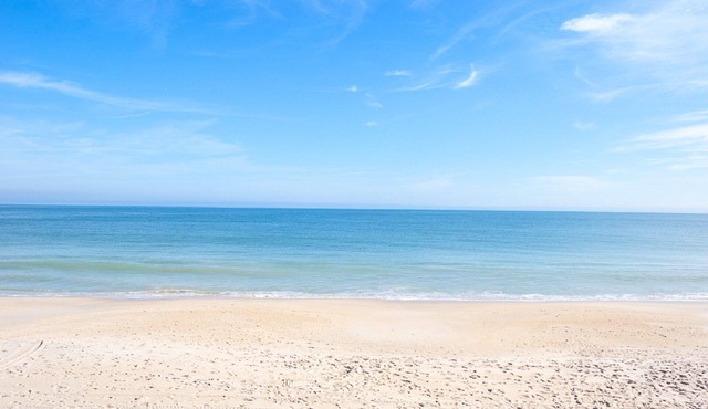 Luxury Oceanside Apt. Pool Private Beach. Special Summer Rates and Discounts!