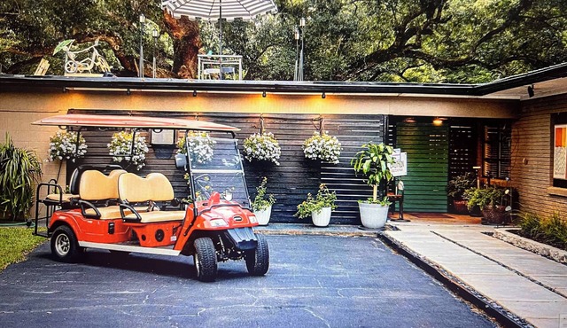 Midtown Mid-Century Modern, FREE golfcart. Close to downtown, 4BRs, 2baths.
