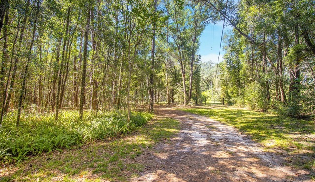 Nature Lover’s Studio Comfort & Convenience