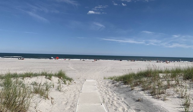 Ocean Ave 5BR: Huge Fenced Yard, Pet Friendly, 2 Houses to Beach + Shark Park!
