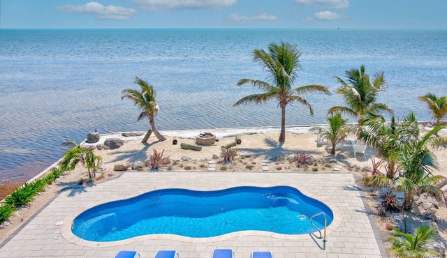 Ocean Panorama w private pool, huge yard, fire pit, kayaks, SUPs