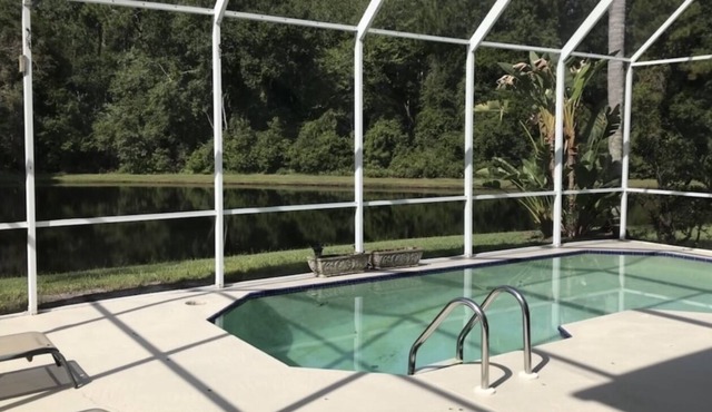 Perfectly placed by-beach & city 4 bd 2.5 b pool w pond & preserve view in Palm Harbor