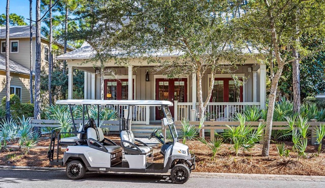 Pet-Friendly WaterColor Retreat | Pool Spring '27 | Cart & Bikes
