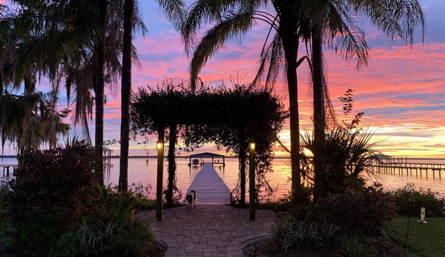 River Manor-Boat Lift-Pet Friendly-Riverfront-Gym-Cinema-Fire pit in St. Augustine