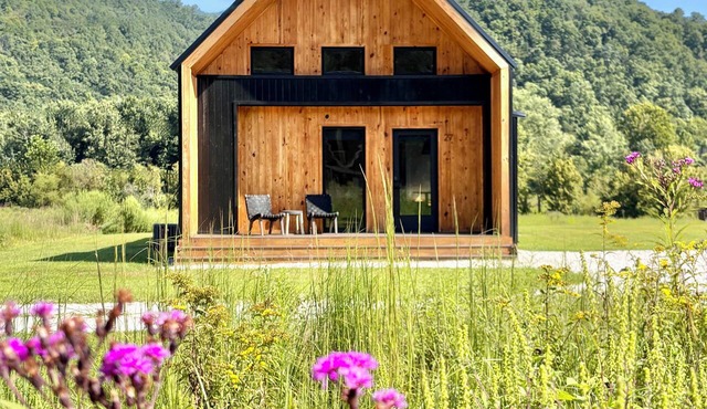 River Rascal - Scenic views, River with BEACH, Hot Tub, Fire pit, Starry Nights in Stanton